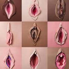 SALUD: Vaginas y vulvas, consejos saludables para mujeres… y para hombres  también 