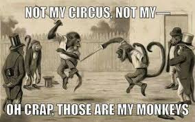 Pin On Funny