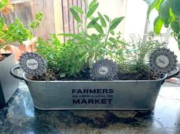 Just that easy you have a simple and cute kitchen herb garden. 9 Fresh Herbs To Grow Indoors In Your Kitchen Window Fearless Dining