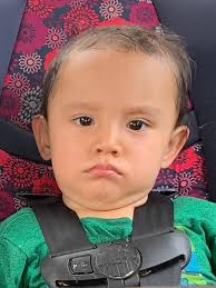 Graphic Policy Team, Author at Graphic Policy