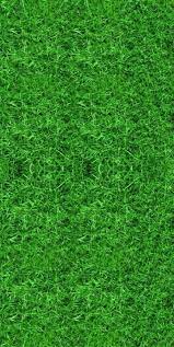 Green Grass Backdrop Computer Printed Photography Background Etsy In 2021 Grass Backdrops Grass Textures Background For Photography