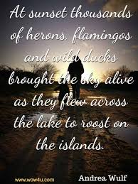 Why do we love sunset quotes? 35 Sunset Quotes Inspirational Words Of Wisdom