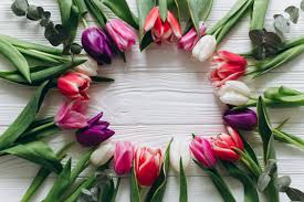 La consistenza sottile … immagini fiori e piante. Fiori 4k Ultra Hd Wallpaper Sfondo 4500x3000