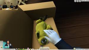 Pets, the two animals must get along with each other. Sims 4 First Person Mod Love Meme