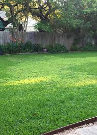 Needless to say, as i paid for the year, i will not be renewing my as a result, there would be areas of my grass that would likely die as a result. Texas Gardening Fungicide Effective In Stopping Take All Root Rot Local News Theeagle Com