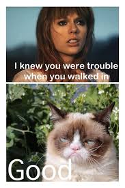 I Knew You Were Trouble When You Walked In Meme Grumpy Cat Taylor Swift Grumpy Cat Kitten Breeds Cat Stories