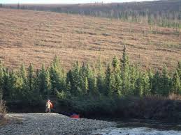 Ncl lets you explore all sides of alaska the way locals see it, up close & personal. The Dashed Line Of The Arctic Circle