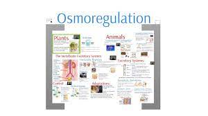 3 Of 7 Of My Regulation Domain Image Credits Biology Campbell 9th Edition Copyright Pearson 2011 The Internetprovided Under The Ap Biology Bio Biology