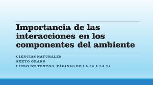 Obtenga los mejores libros gratuitos de tendencias en su bandeja de entrada. 6 Ciencias Naturales Importancia De Las Interacciones De Los Componentes Del Ambiente Youtube