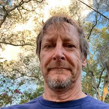 What are some tips or recipes for cooking wild duck?