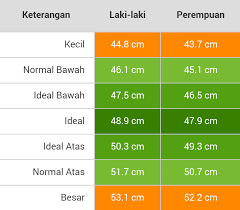 Maybe you would like to learn more about one of these? Lingkar Kepala Luvely June