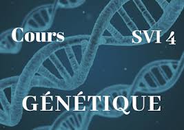 Cours De Genetique Svi Semestre S4 Pdf Eprepare Genetique Analyse Transactionnelle Semestre