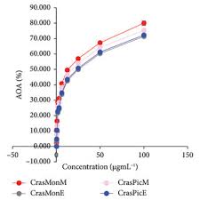 Image result for Crassocephalum picridifolium
