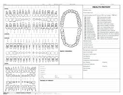 punctual dental chart template word picture of teeth chart