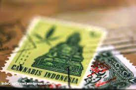 Seperti apa kerasnya usaha masyarakat lamteuba? Sejarah Ganja Illegal Peneliti Ganja Obat Mujarab Sejak Ribuan Tahun Mysterious Thing Conspiracy Controversy Ufo Alien Archeology Science Universe