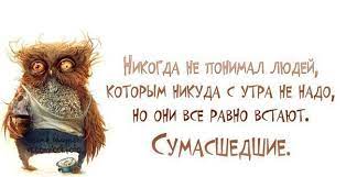 Прикольные картинки со смешными цитатами
