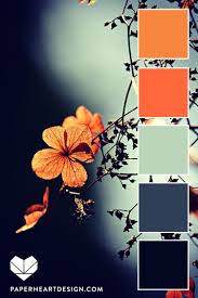 Teal Orange Color Palette Flowers Orange Color Palettes Color Schemes Colour Palettes Color Schemes