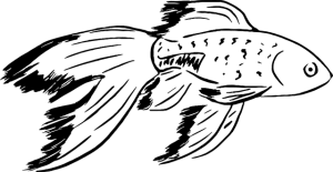 Desenhos De Peixe Para Colorir Curso Completo De Pedagogia