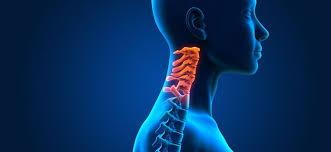 Head and neck cancer is the term used to describe a number of different malignant tumors that develop in or if you would like more of an introduction, explore these related items. Head And Neck Cancer West Cancer Center
