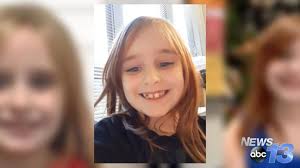 Officials say a man jumped into a vehicle parked at the hotel with the carlee and a dog inside and drove away. Search For Missing 6 Year Old Continues In South Carolina New Photos Released Wset