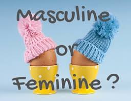 Masculine Or Feminine Telling The Gender Of French Nouns