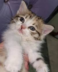 Dost Patiler (@dosttpatiler) · Instagram 照片和视频