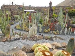 Jardin De Cactus De Cesar Manrique En Lanzarote Jardin De Cactus Jardines Jardineria