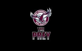 It featured predominantly maroon, white, . Manly Warringah Sea Eagles Hd Wallpaper Background Image 1920x1200