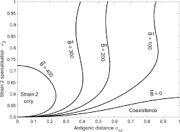 Host Specialisation, Immune Cross-Reaction and the Composition of  Communities of Co-circulating Borrelia Strains