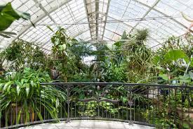 Check spelling or type a new query. Inside San Francisco Golden Gate Park S Conservatory Of Flowers Curbed Sf