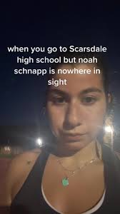 just westchester things ✨#noahschnapp #willbeyers #scarsdale #westchester  #nyc #strangerthings #fyp #foryou