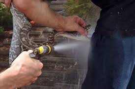 Please read the details of our guarantee before. A Snake Handler Gets Bitten By A Carpet Python In The Melbourne Surburb Of Endeavour Hills Abc News Australian Broadcasting Corporation