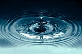 27 Water Drop Pictures Download Free Images On Unsplash