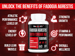 Image result for Fadogia