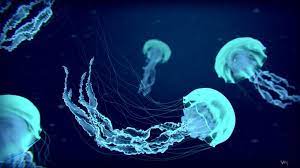 Unique Jellyfish Live Wallpaper Jellyfish Painting Jellyfish Images Jellyfish Pictures