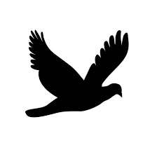 Flying Dove Silhouette Free Vector Image In Ai And Eps Format Creative Commons License Peter pan flying logo silhouette for download. flying dove silhouette free vector
