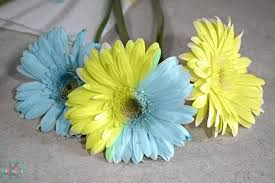 Print the worksheets about colours and complete the exercises to help you practise your english! Amazing Coloring Flower Science Experiment
