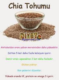 Chia Tohumu Nedir Zayiflatir Mi Saglikli Zayifla Mutlu Kal Saglikli Saglikli Gidalar Saglikli Ogunler
