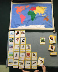 Montessori Geography Animals Of The Biomes Matching Montessori Geography Biomes Biomes Activities