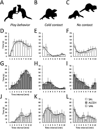 Effects Of Developmental Alcohol And Valproic Acid Exposure