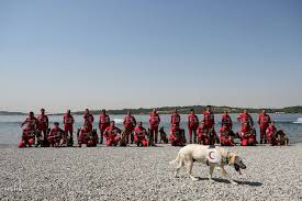 Maybe you would like to learn more about one of these? Mehr News Agency Red Crescent Rescue Dogs Drill In Tehran