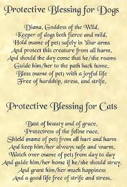 Blessings For Dogs And Cats Spells Witchcraft Witchcraft Magick Spells