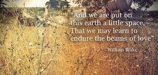 Poem William Blake Quotes Quotesgram