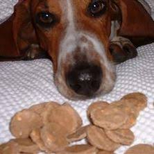 This diabetic dog food is specifically designed for diabetic dogs. Odun2obl8weubm