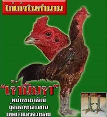 Ayam golek pattani warisan turun temurun resepi asli dari pattani. Jagongan Jago Biografi King Phama Ninja Ninja Di Facebook