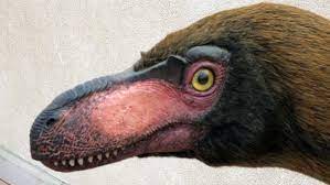 1 in planet dinosaur 1.1 episode 6: T Rex S Tiny Predecessor Has A Mesa Connection