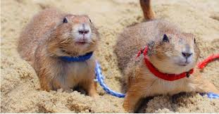 Cassidy Bryce Archives