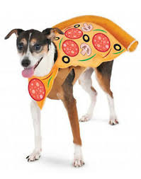 Details About Pet Costume Dog Cat Pizza Slice Costume