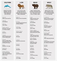 What S Your Sleep Animal Wolf Lion Bear Or Dolphin Animal Quiz Sleeping Animals Lion