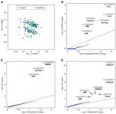 Genetic Insights into Breast Cancer in Northeastern Mexico: Unveiling  Gene–Environment Interactions and Their Links to Obesity and Metabolic  Diseases